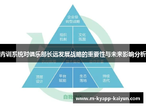 青训系统对俱乐部长远发展战略的重要性与未来影响分析